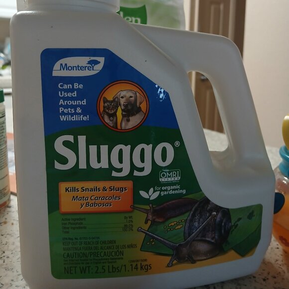 Sluggo - Picture 1 of 1